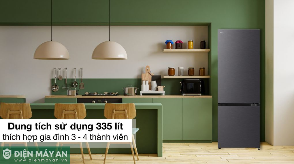 Tủ lạnh LG Inverter 335 lít LBB33BLM